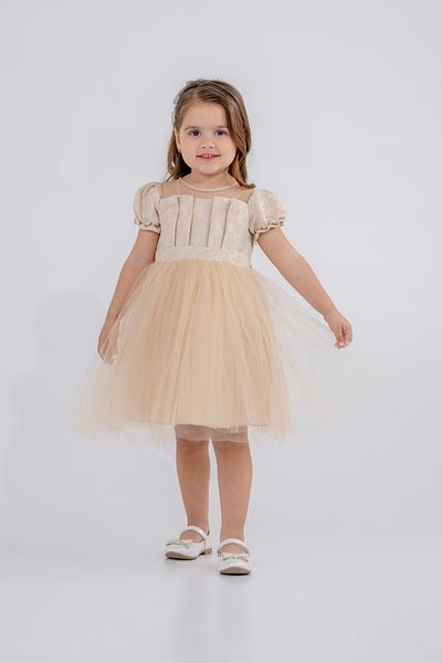 Eray Kids Βραδινό φόρεμα για κορίτσια με ζακάρ πλισέ με σχέδια