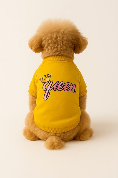 MPZ Pets Yellow Sweatshirt - Cat and Dog Clothing & Dress