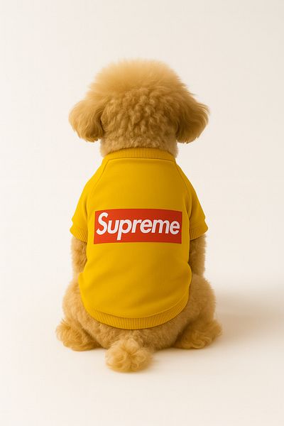 MPZ Pets Cat and Dog Outfit & Dress - Yellow Sweatshirt Supreme