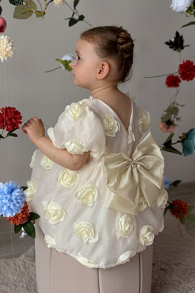 ALYRA Baby Girl Dress Short Sleeve with Bow Rose Birthday Party Wedding Special Occasion Evening Dress Girl's Dress
