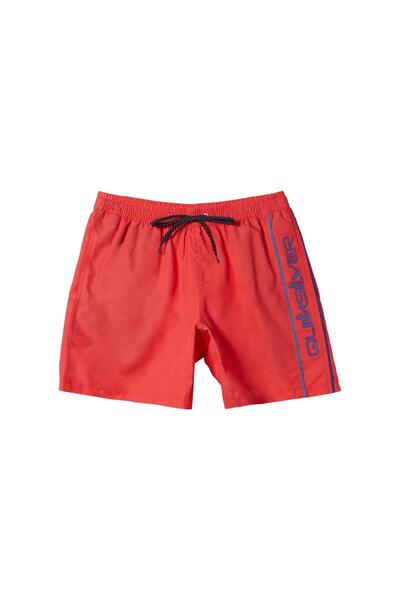 Quiksilver Everyday Vert Volley 16 Men's Volleyball Shorts Men's Volleyball Shorts Aqyjv03139