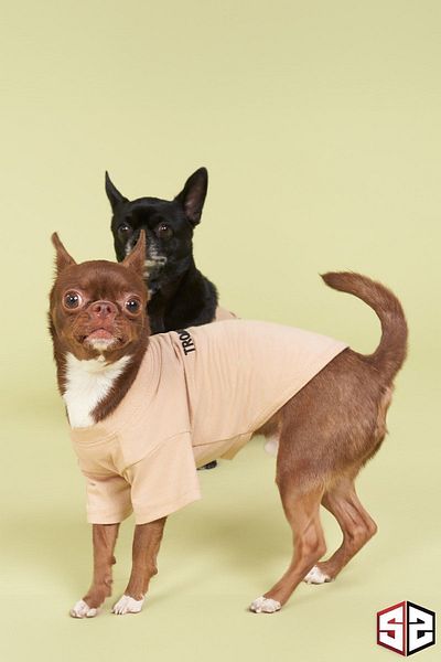 salya store 100% Organic Cotton Fabric Dog Clothing, Trouble Mink