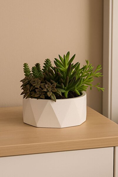 Lea Concept Geoliva Mini Beton Saksı Beyaz