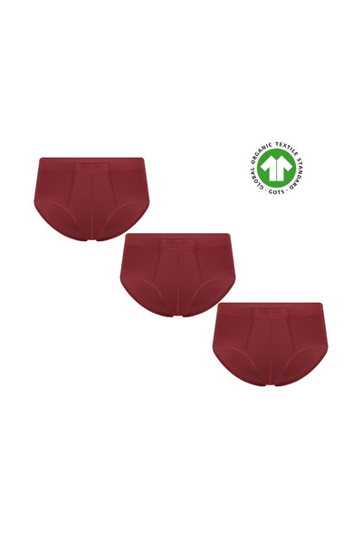 Albero Natur Gots Certified Organic Cotton Men's Slip Underpants