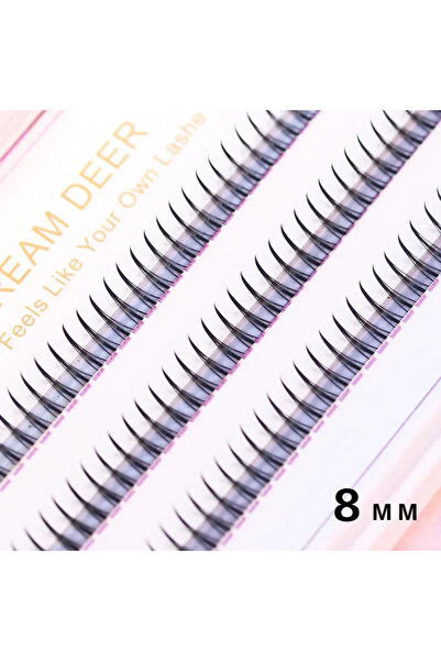 Choice رموش صناعية من نوع دريم دير A/M مقاس 0.07 مم، 8 مم، 8-12 مم، مزيج من الرموش الصناعية، رموش فيري الطبيعية، كورية الصنع