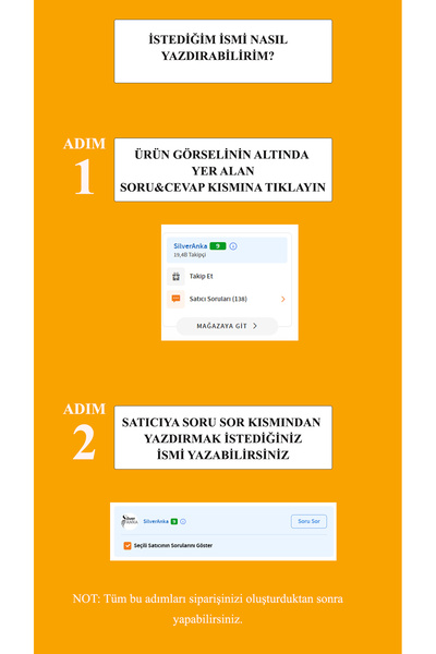 Silveranka 925 Ayar Gümüş Y Model İsimli Kolye