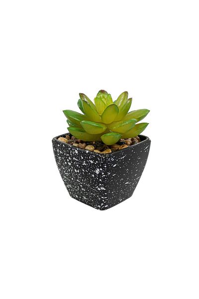 Ella Home Italia Artificial Succulent Plant, Green, Plastic, 9cm