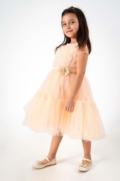 WECAN EXCLUSİVE Roba Firfir Detailed Tulle Evening Dress Salmon