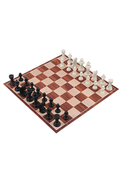 SERA Checkers - Chess and Nine Pieces Detailed