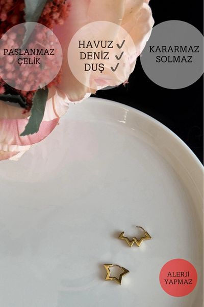 SEVGİLİ TAKI Lotus Series Star Figured Steel Earrings