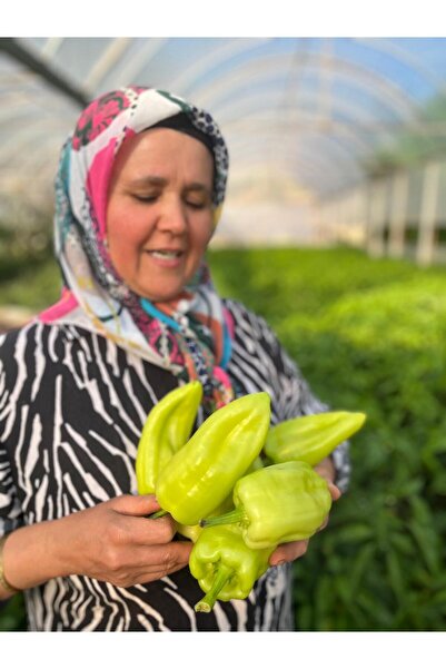 AKYAYLA KAHVALTI EVİ Taze Kale Biberi 3500 gr