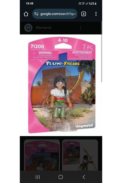 Playmobil 71200 بلاي مو فريندز