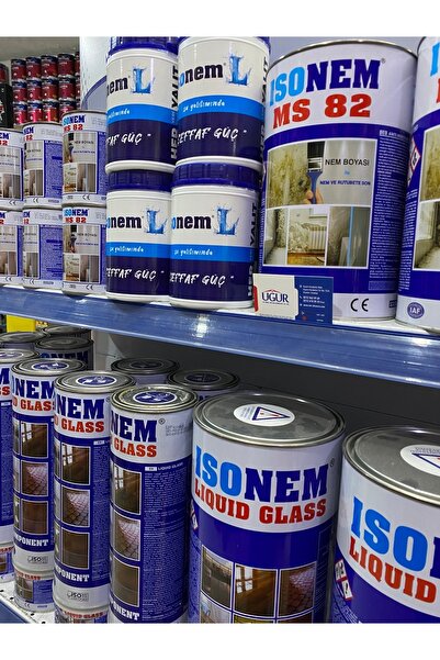 Isonem İsonem L Şeffaf Güç Su Yalıtım Boyası 1 Kg + Luna Kestirme Fırça No 2