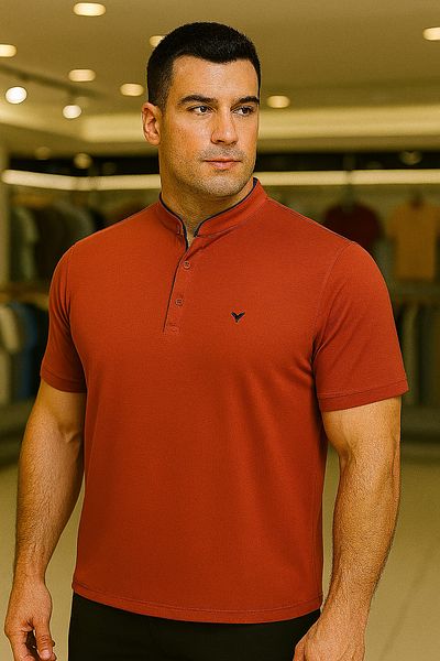 Maccali Men's Plus Size Basic Polo Neck Tile T-Shirt