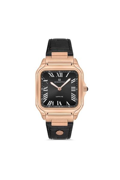 Momentus Men's Wrist Watch S.Em348R-04Br