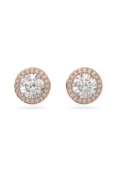 Swarovski SWR5636275 Kadın Küpe