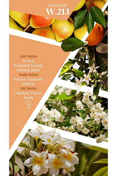 Mad Parfüm Mad W213 Selective 100 ml Kadın Parfüm | 3AL 2ÖDE