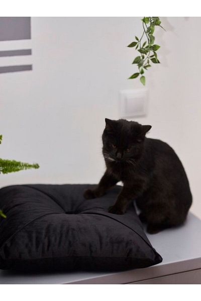 OEM Black Velvet Puffet Decorative Pillow, Square, 40x40 Cm