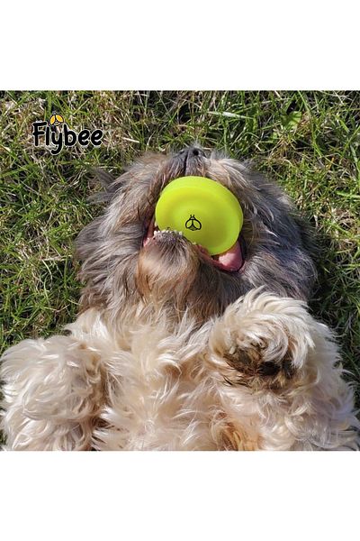 Gepettoys Flybee ZipChip - Soft Rubber Mini Frisbee for Indoor and Outdoor