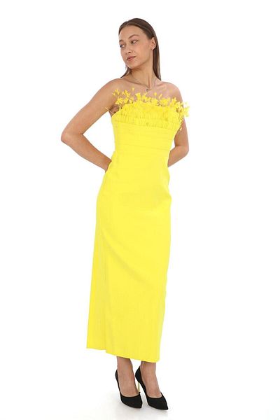 Robes Strapless Midi Pencil Dress - Feather Detailed
