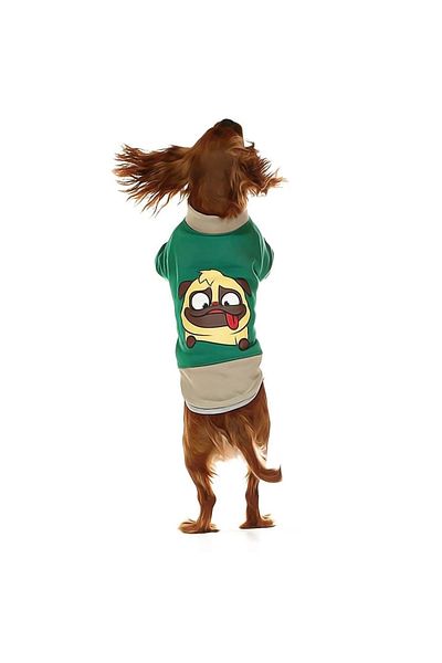 Petza Small and Medium Breed Dog Sweatshirt - Ingo Green - Dog Outfit