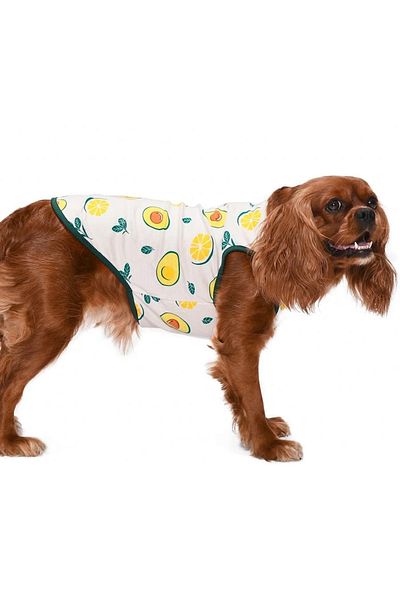 Petza Small And Medium Breed Dog T-shirt Kaj