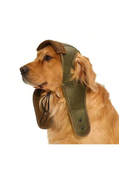 Petza Small Medium And Large Breed Dog Hat Pilot Green