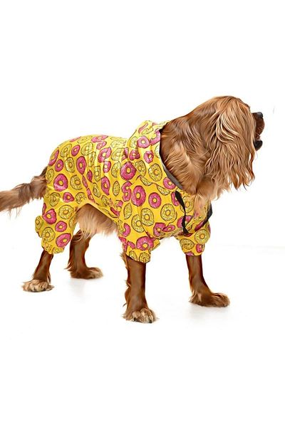 Petza Small and Medium Breed Dog Leg Coat Bicorn