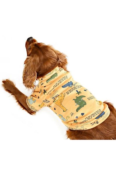 Petza Small and Medium Breed Dog Sweater - Kindia