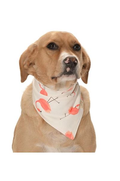 Petza Mei Dog Bandana