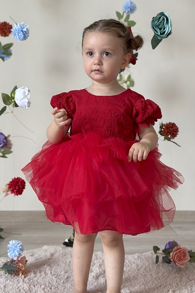 ALYRA Baby Girl Dress Tulle Tutu Fluffy Birthday Party Wedding Special Occasion Buckle Girls' Evening Dress