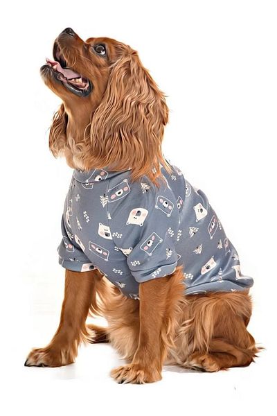 Petza Small and Medium Breed Dog Sweater - Group