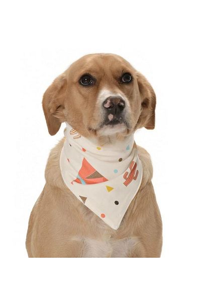 Petza Tepee - Dog Bandana Design