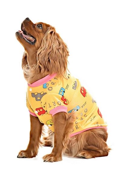 Petza Small and Medium Breed Dog Sweater - Bargum
