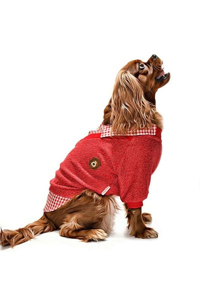 Petza Small and Medium Breed Dog Sweater - Hodag