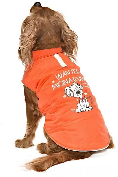 Petza Small and Medium Breed Dog Coat - Sambo