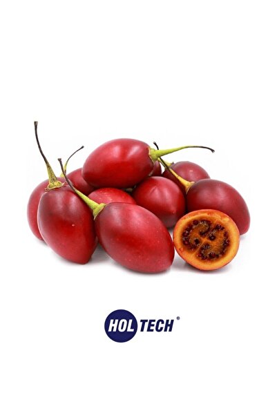 HOLTECH Tamarillo Meyvesi Tohumu 20 Adet Tamarillo Ağaç Domatesi