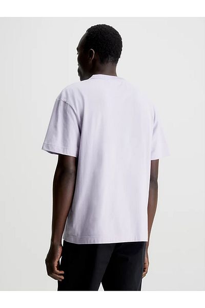 Calvin Klein Men's T-shirt K10k110669-vey