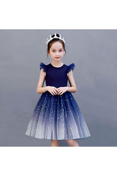 fun zone Girls Gradient Starry Lace Dress Princess Dress Princess Party Costume 110cm