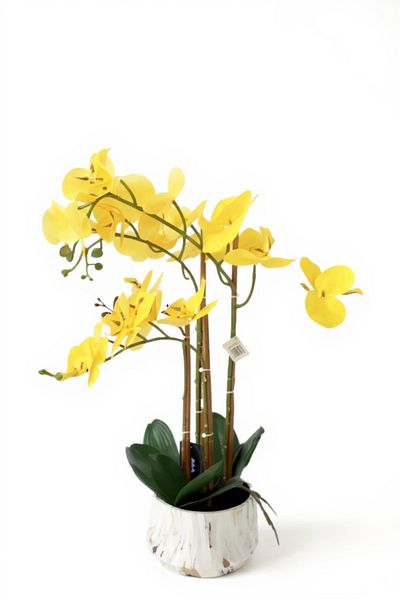 Living Yellow artificial orchids, multi-branch, white pot, height 69 cm