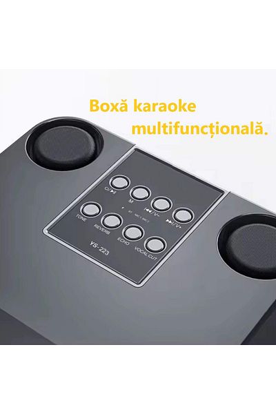 Lucmark Bluetooth karaoke audio system, Lucmark, 2 wireless microphones, portable speaker, tweeters