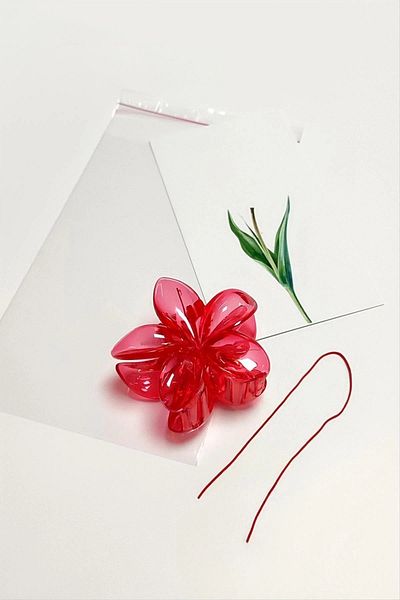 S'82 Set de 100 bucăți de cataramă roșie Lotus 8 cm Henna