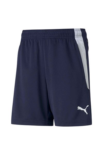 Puma Teamliga Football Youth Shorts
