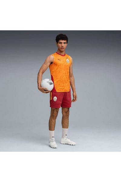 Puma Galatasaray Evostripe Men's Shorts