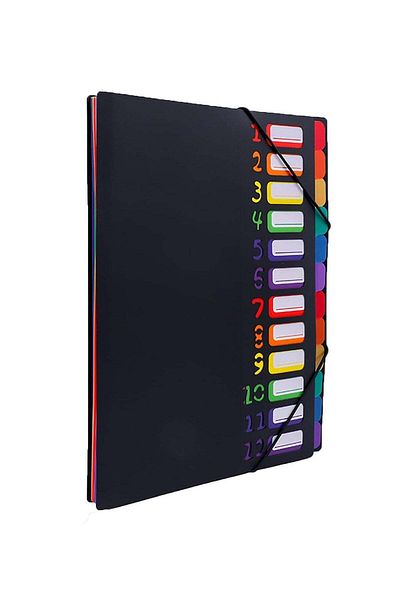 fun zone DUNISO Colored File Folders, Accordian File Organizer, Black Cover with 24 Pockets