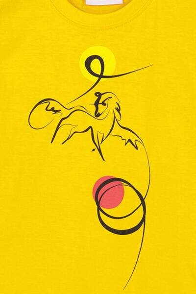 Pegas , Printed T-shirt with scoop neck, Saffron yellow, 104 CM