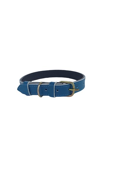 OEM Zgardă turcoaz din piele naturală, 60 x 2,5 cm, pentru câini