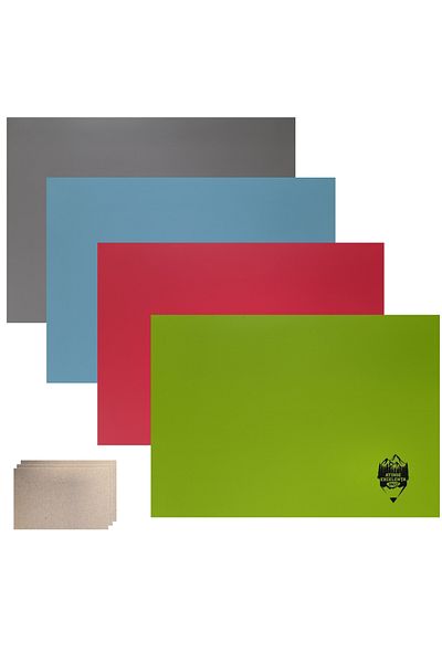 FLR Set of 4 BIOLOGY notebooks, A4 (large), plastic cover, 24 sheets + 5 note cards