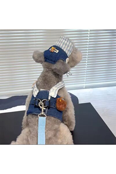 Payidar Hediyelik طقم طوق صدر مع قبعة موديل جينز (3 قطع) للكلاب/القطط قابل لل...