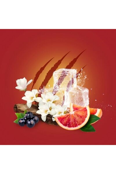 Old Spice مزيل عرق نايت بانثر من أولد سبايس، 50 مل